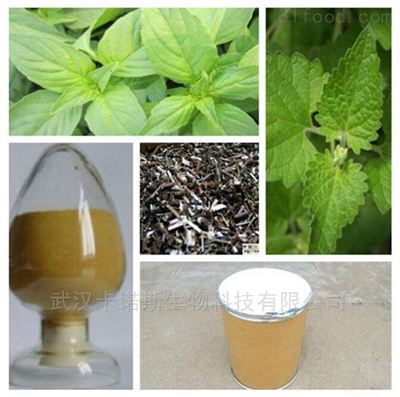 植物提取物 自然精華的多維應(yīng)用與未來前景