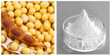 植物甾醇 大豆提取物的健康益處與應用前景