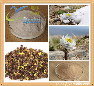 雪蓮脂 源自雪蓮花的專(zhuān)業(yè)植物提取物與天然香料